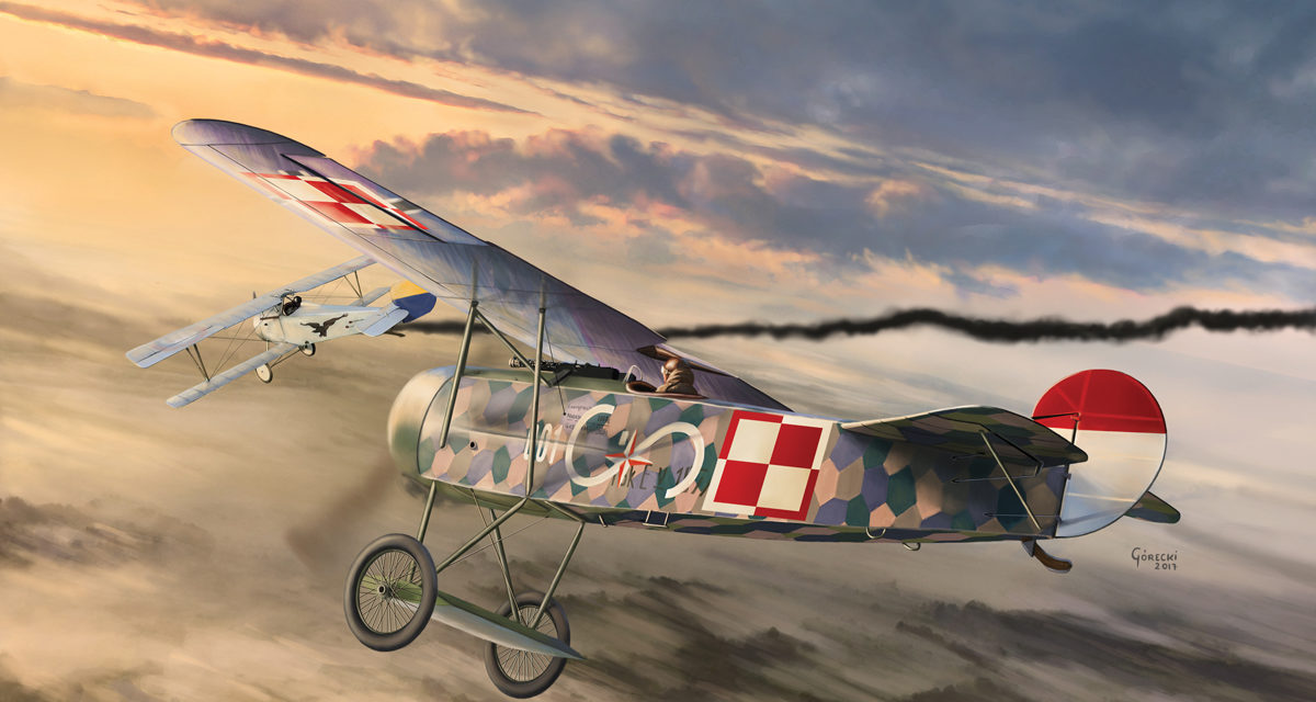 Fokker E.V w barwach polskich